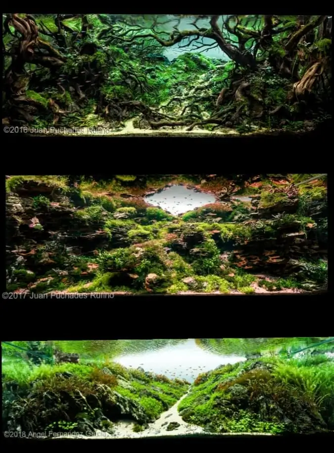 Introduction about Spain Aquascaping Introduction about Spain Aquascaping