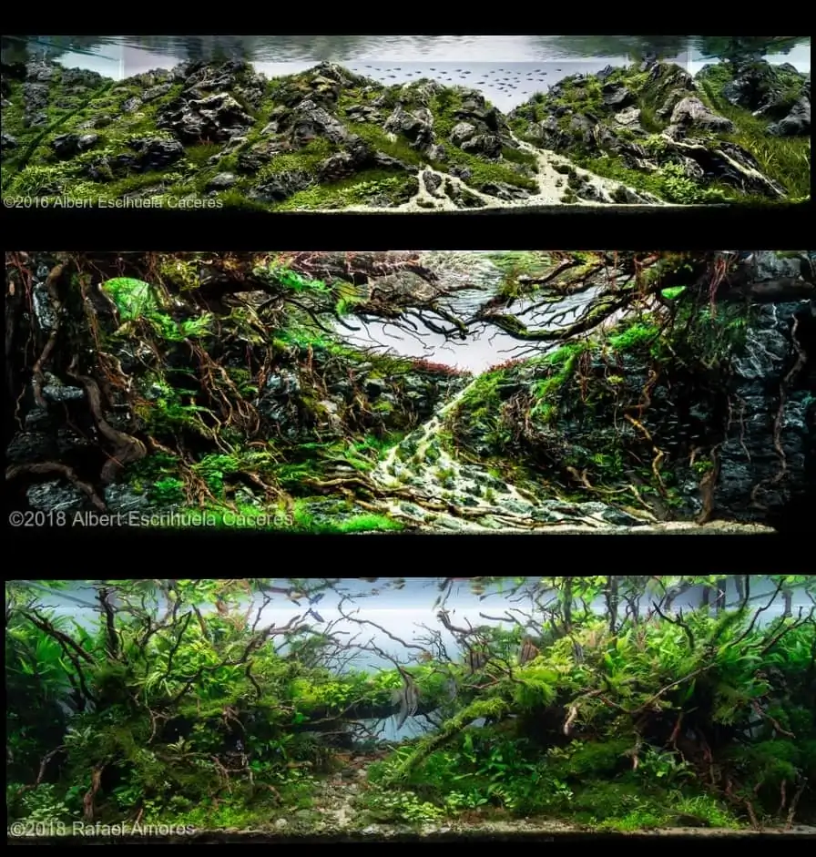 Introduction about Spain Aquascaping Introduction about Spain Aquascaping