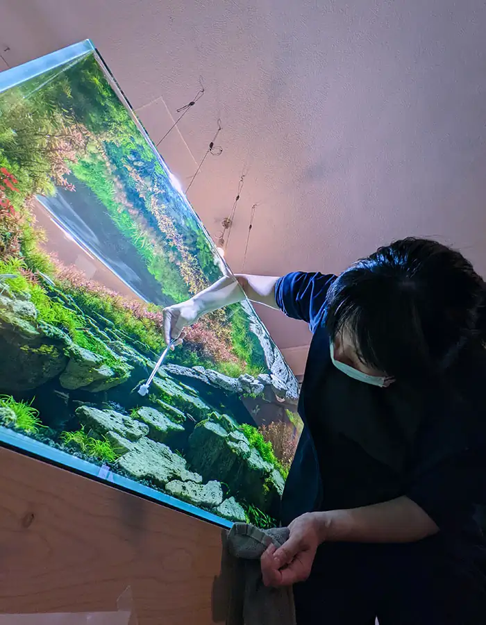 Conversation with Eri Watakushi - IAPLC 2022 Rank 11