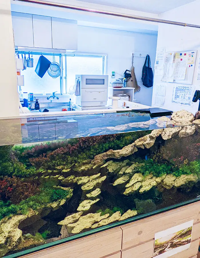 Conversation with Eri Watakushi - IAPLC 2022 Rank 11