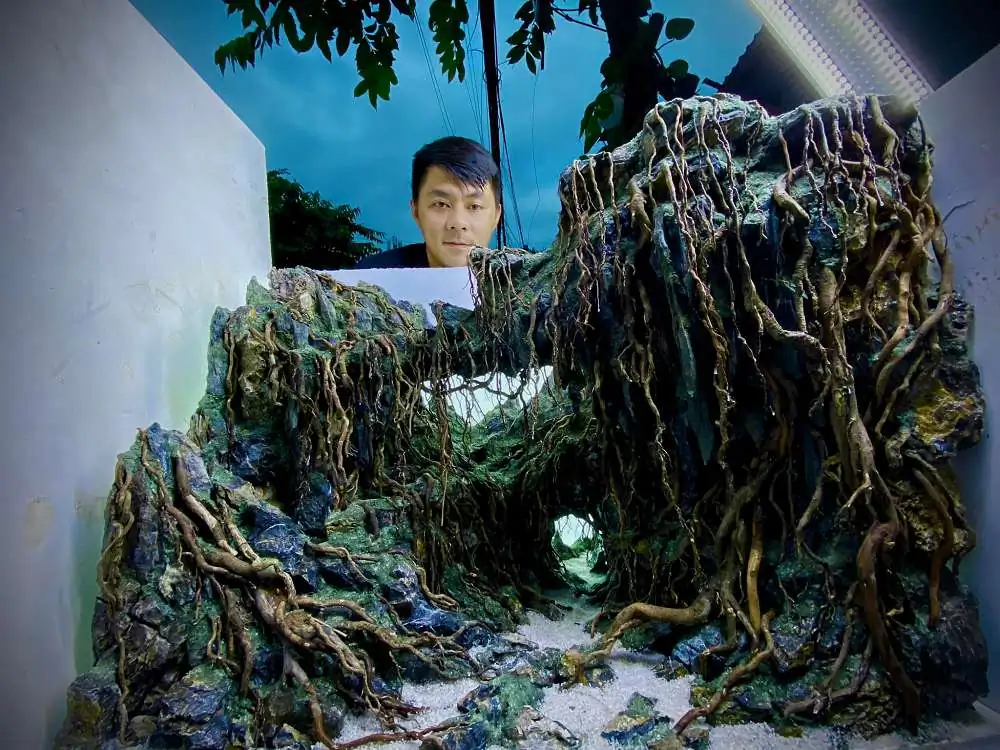 New amazing aquascapes from Nguyen Minh Toan / VietNam