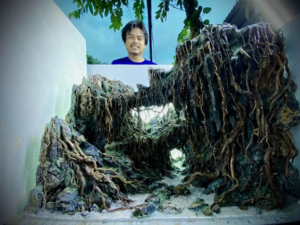 New amazing aquascapes from Nguyen Minh Toan / VietNam