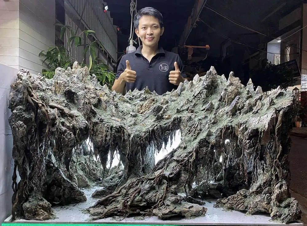 New amazing aquascapes from Nguyen Minh Toan / VietNam