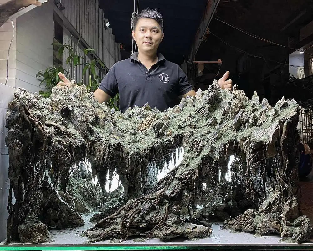 New amazing aquascapes from Nguyen Minh Toan / VietNam