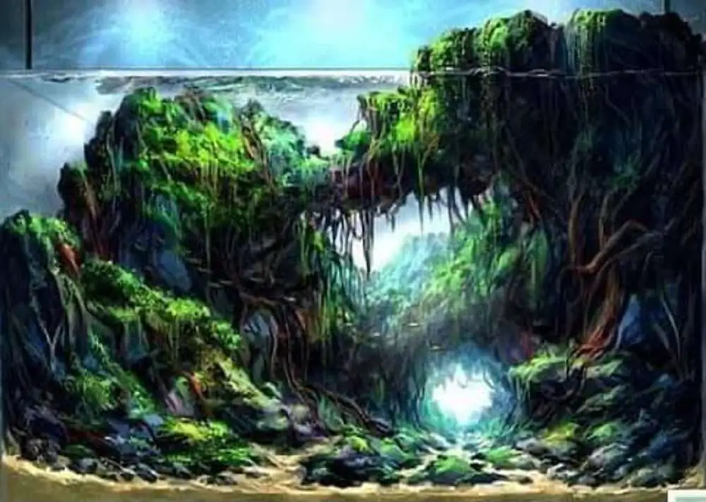 New amazing aquascapes from Nguyen Minh Toan / VietNam