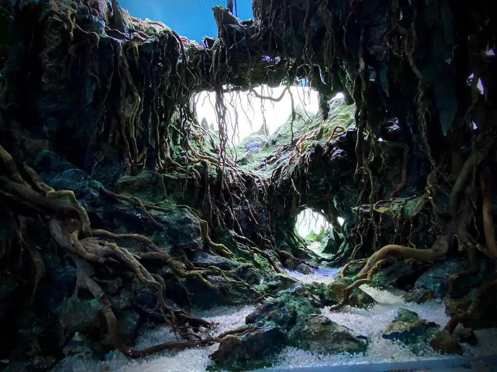 New amazing aquascapes from Nguyen Minh Toan / VietNam