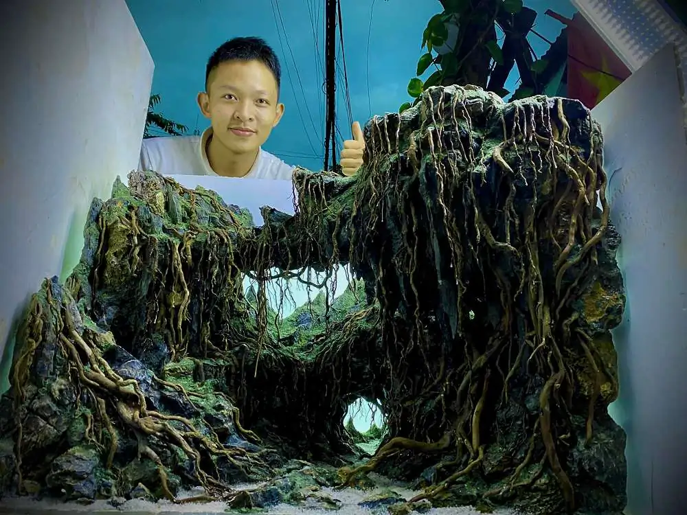 New amazing aquascapes from Nguyen Minh Toan / VietNam